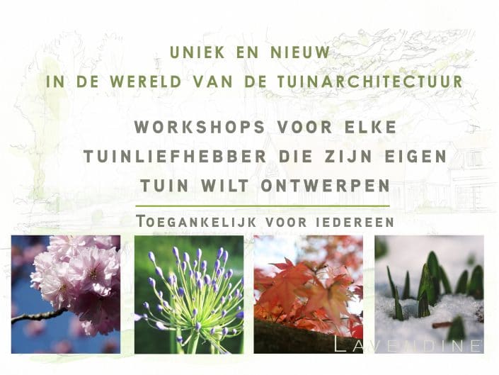 workshop lavendine tuinontwerp